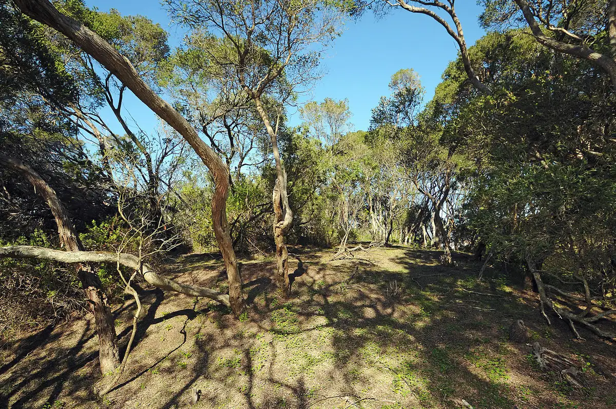 Main view of Homely land listing, 6 Sherwood Forest Drive, Rye VIC 3941