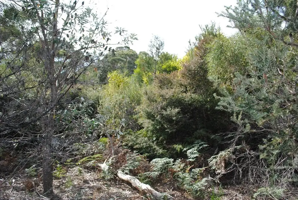 Main view of Homely land listing, 4 Hazards View Drive, Coles Bay TAS 7215