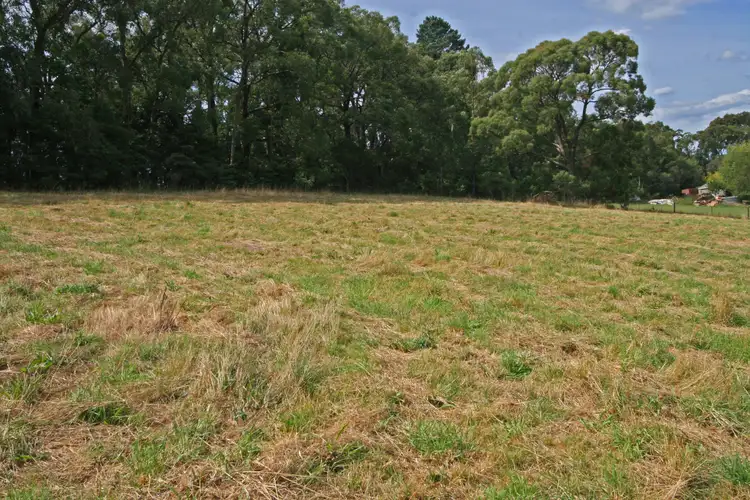 Sixth view of Homely rural property listing, 415 Morrison Road, Pakenham Upper VIC 3810