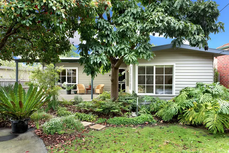 51 Koonung Road, Blackburn North VIC 3130