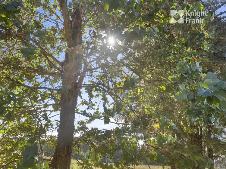 Sixth view of Homely land listing, Lot 5 Wards Court, Middleton TAS 7163