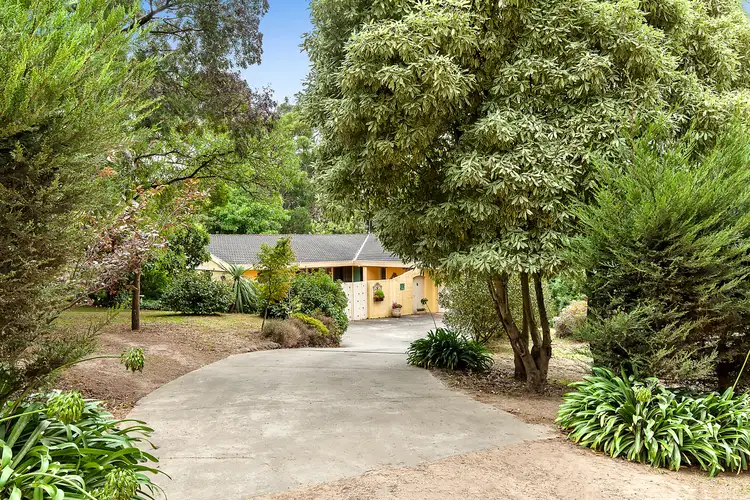 22 Ocean View Avenue, Red Hill South VIC 3937