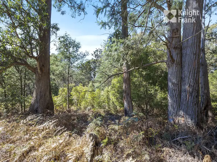Fourth view of Homely land listing, 12 Reids Road, Fern Tree TAS 7054