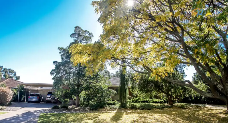 Main view of Homely house listing, 20 Doradus Avenue, St Agnes SA 5097