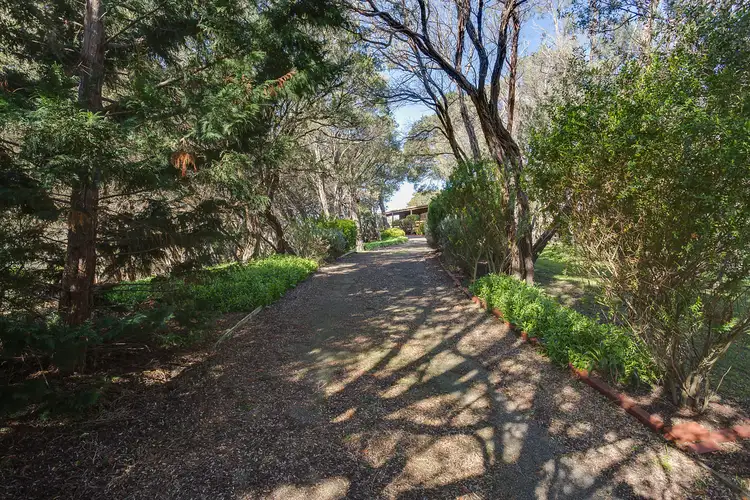 Third view of Homely land listing, 11 Andrea Street, Rye VIC 3941