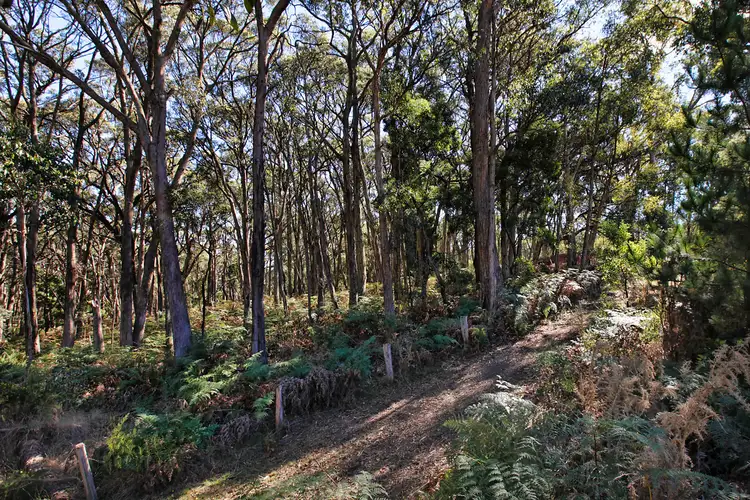 Fourth view of Homely house listing, 12 Island Farm Road, Woodend VIC 3442