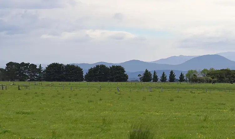Third view of Homely rural property listing, Ross Road, Winnindoo VIC 3858