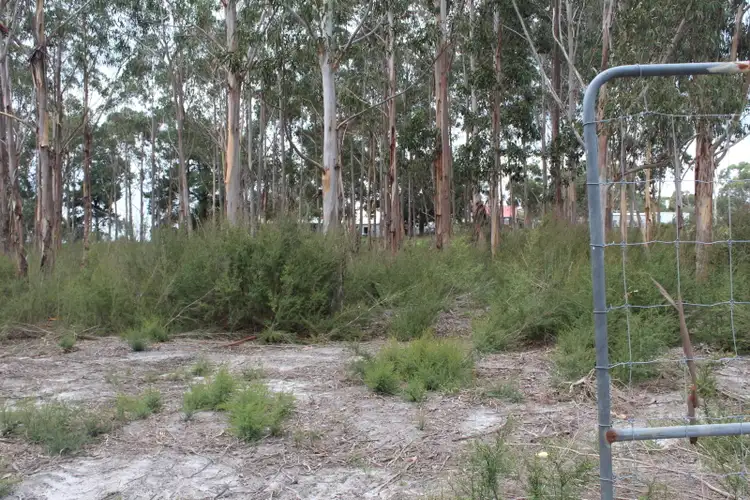 Seventh view of Homely rural property listing, 506 Longford-Loch Sport Road, Longford VIC 3851