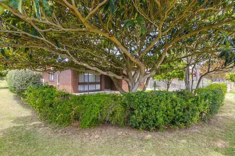 Second view of Homely house listing, 39 Plain Street, Tootgarook VIC 3941