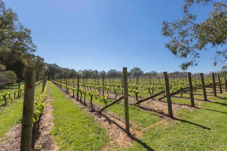 Sixth view of Homely house listing, 60 Bulldog Creek Road, Dromana VIC 3936