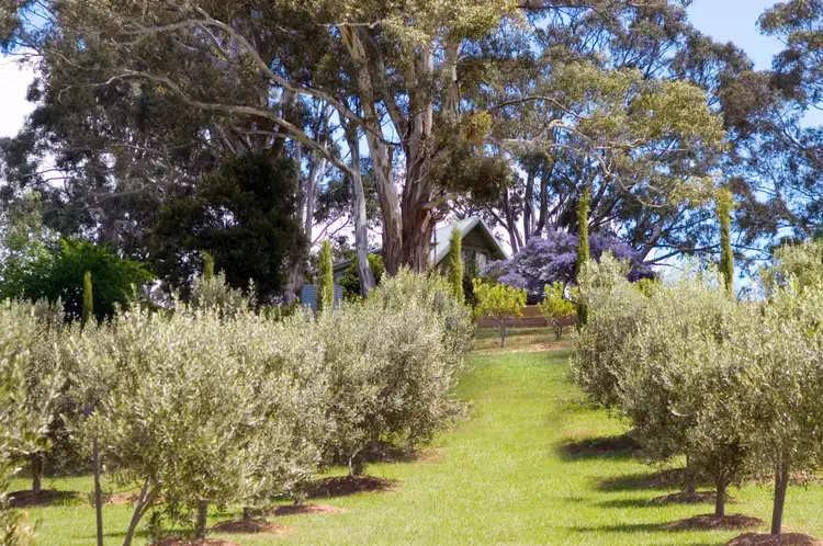 Third view of Homely house listing, 160 Currys Hill Road, Musk VIC 3461