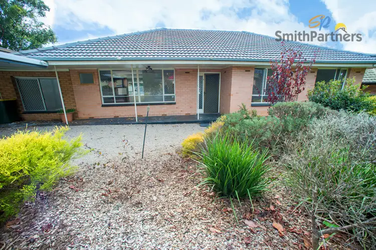 Main view of Homely house listing, 6 Rex Avenue, Gilles Plains SA 5086