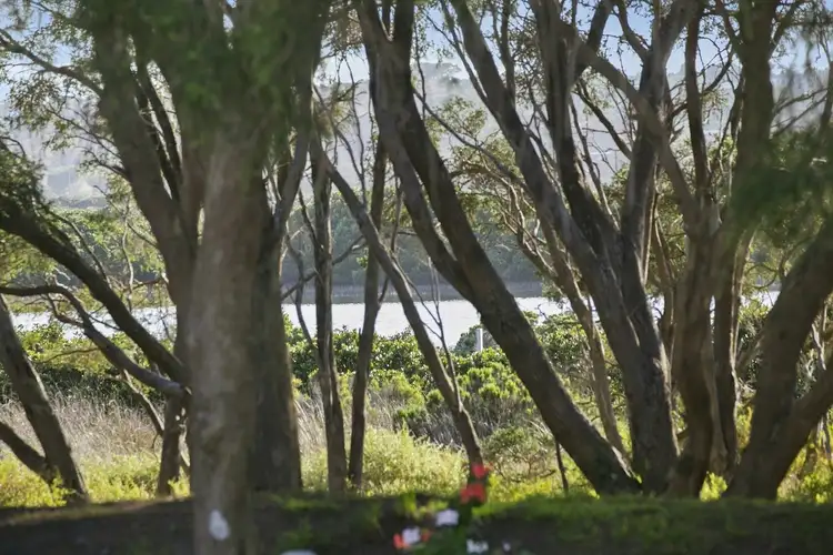 Second view of Homely house listing, 25 Midden Terrace, Barwon Heads VIC 3227