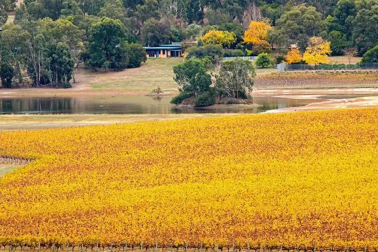 Second view of Homely rural property listing, 76 Boundary Road, Coldstream VIC 3770