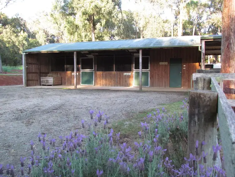 Seventh view of Homely rural property listing, 165 Hakea Road, Hoddles Creek VIC 3139