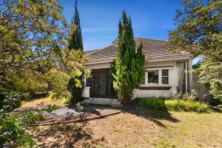 1469 High Street, Glen Iris VIC 3146