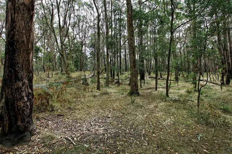 Lot 17A Blackforest Drive, Woodend VIC 3442