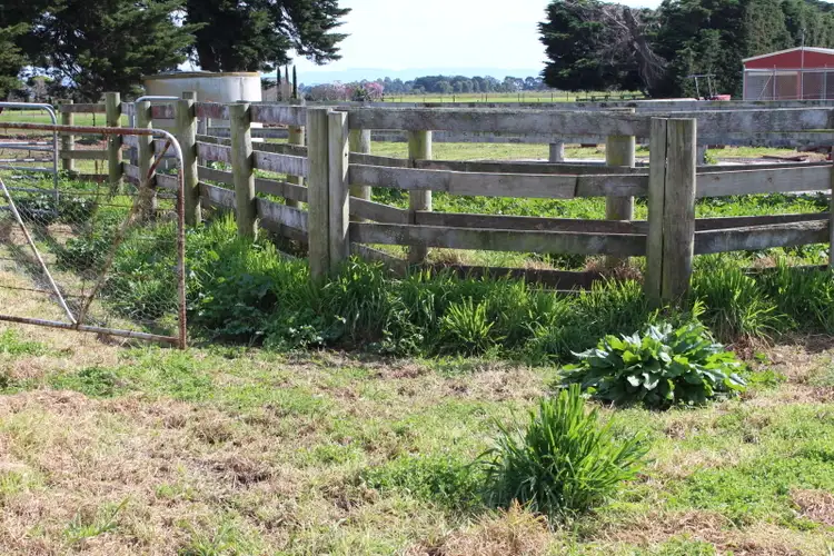 Seventh view of Homely rural property listing, LOT 2/124 Lower Heart Road, Sale VIC 3850
