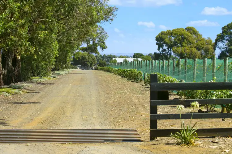 Sixth view of Homely rural property listing, 172-220 Lings Road, Wallington VIC 3222