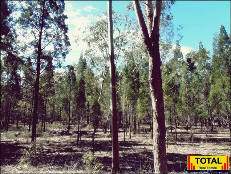 Fifth view of Homely rural property listing, LOT 4/0 Ayers Rock Road, Cypress Gardens QLD 4357