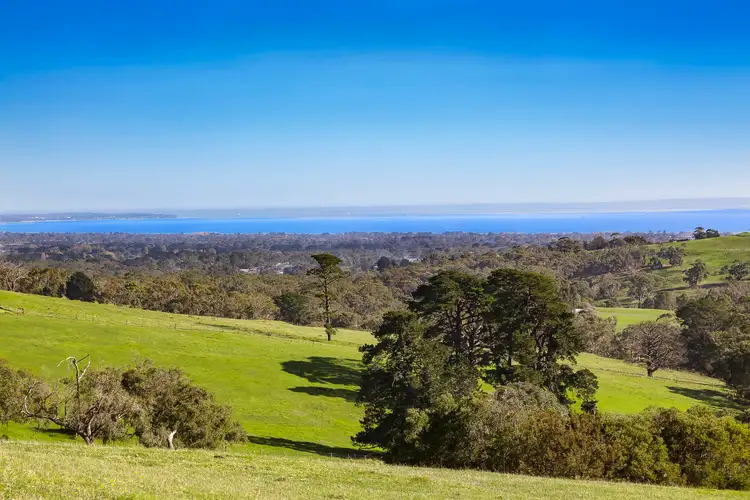 14 Browns Road, Main Ridge VIC 3928