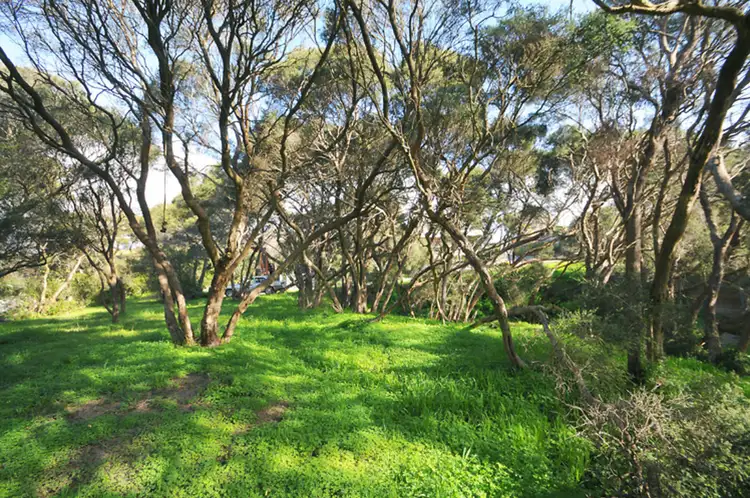 Main view of Homely land listing, 40 Kanburra Street, Rye VIC 3941