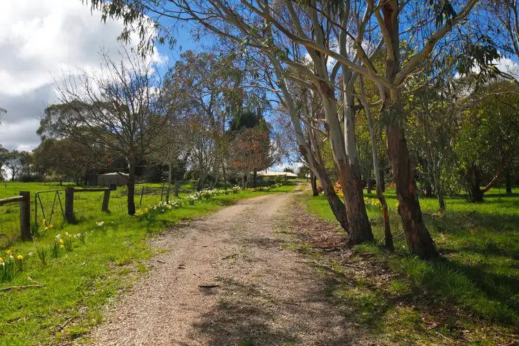 201 Trio Road, Kyneton VIC 3444