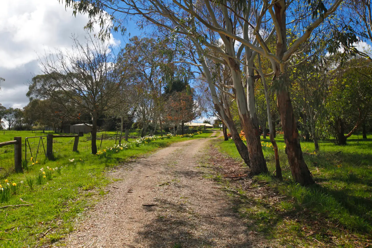 Main view of Homely house listing, 201 Trio Road, Kyneton VIC 3444
