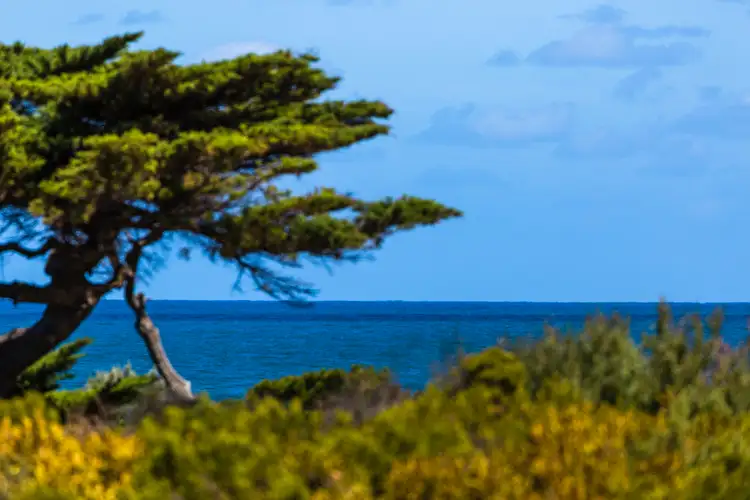 Second view of Homely house listing, 33 The Esplanade, Ocean Grove VIC 3226