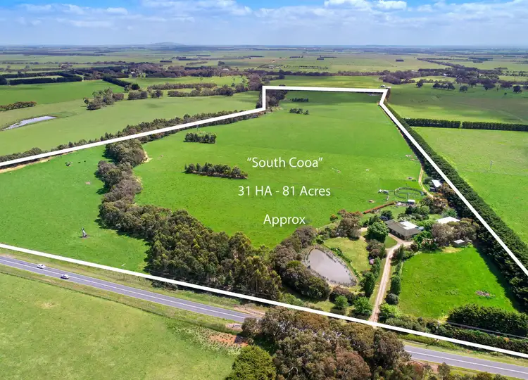 Main view of Homely rural property listing, 2904-2940 Cape Otway Road, Winchelsea VIC 3241