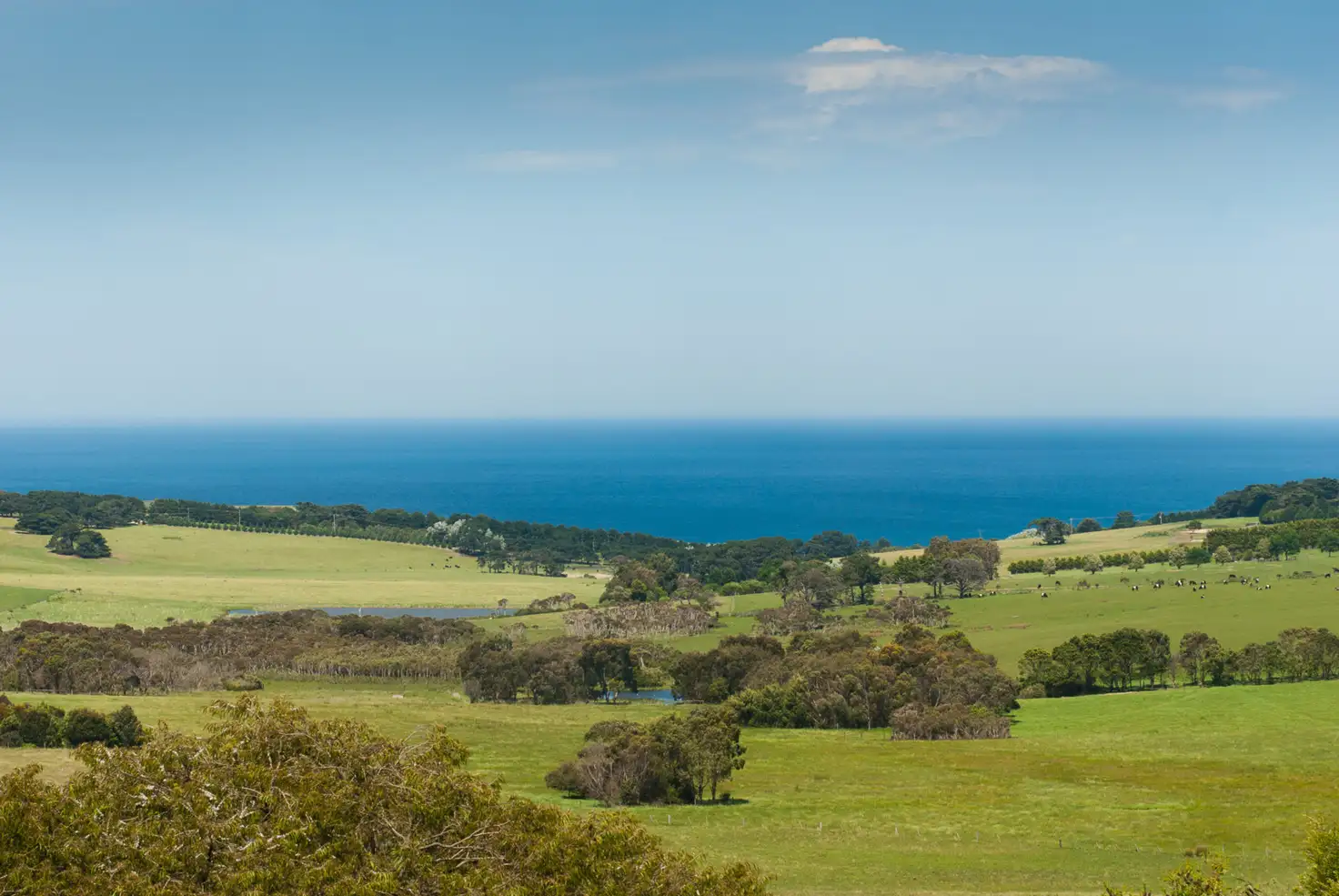 Main view of Homely house listing, 219 Keys Road, Flinders VIC 3929