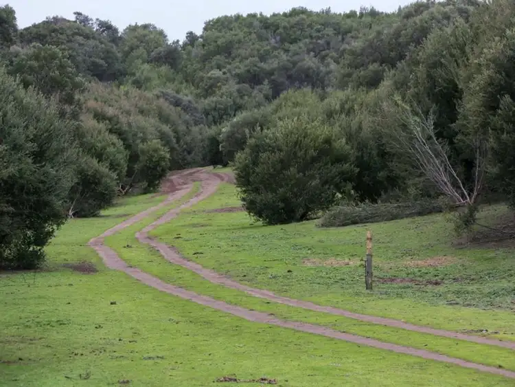 Seventh view of Homely land listing, 299 Truemans Road, Boneo VIC 3939
