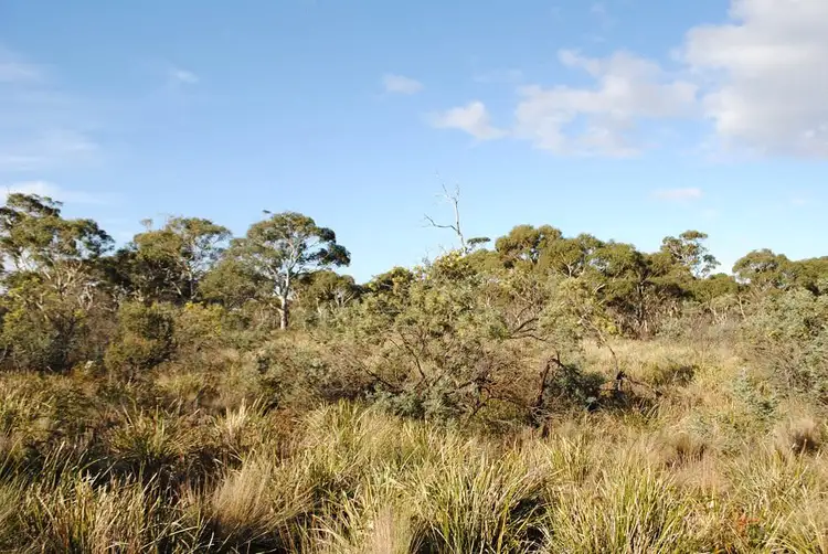 Fourth view of Homely land listing, Lot 1 Dolphin Sands Road, Dolphin Sands TAS 7190
