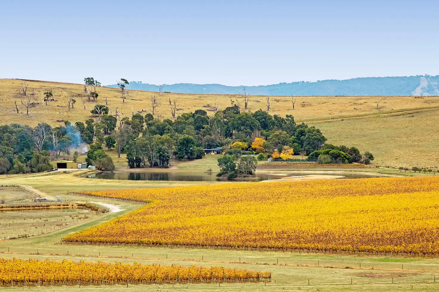 Main view of Homely rural property listing, 76 Boundary Road, Coldstream VIC 3770