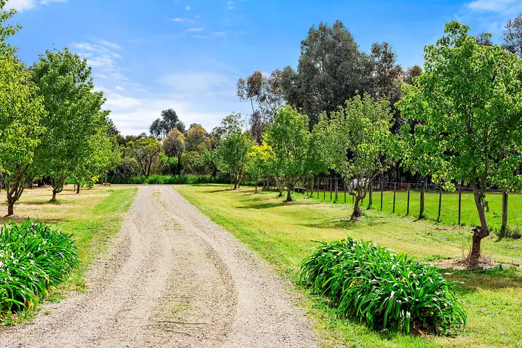 Sixth view of Homely house listing, 335 Princess Street, Drysdale VIC 3222