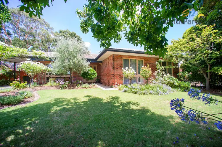Second view of Homely house listing, 31 Nunyah Drive, Banksia Park SA 5091