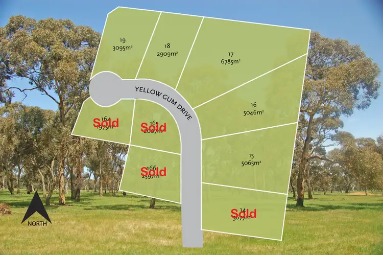 Yellow Gums Estate, Ocean Grove VIC 3226