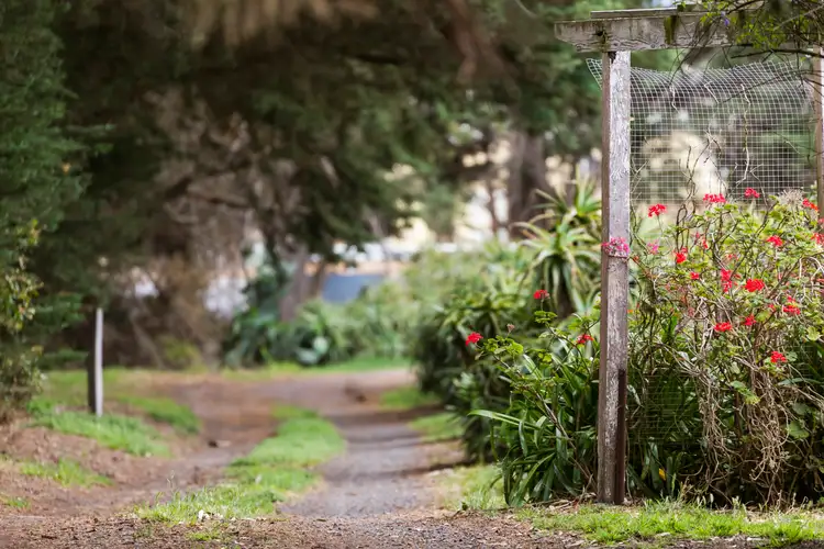 Third view of Homely rural property listing, 225 Murradoc Road, Drysdale VIC 3222