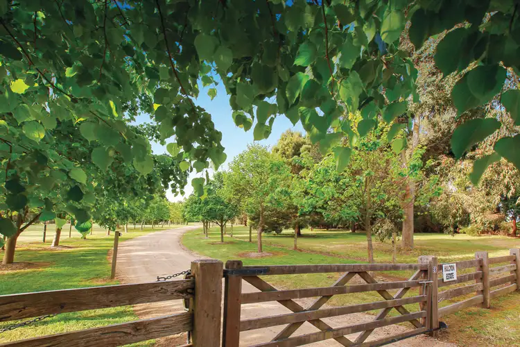 Third view of Homely house listing, 98 Thompsons Lane, Merricks VIC 3916