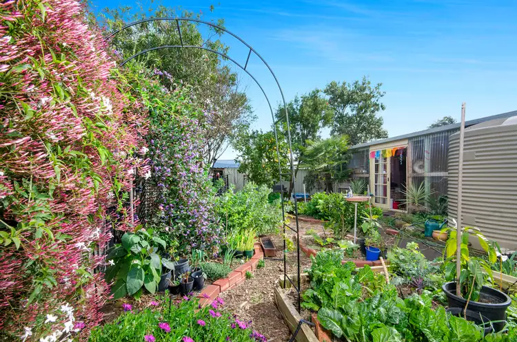 Fifth view of Homely house listing, 50 Somerdale Avenue, Ocean Grove VIC 3226