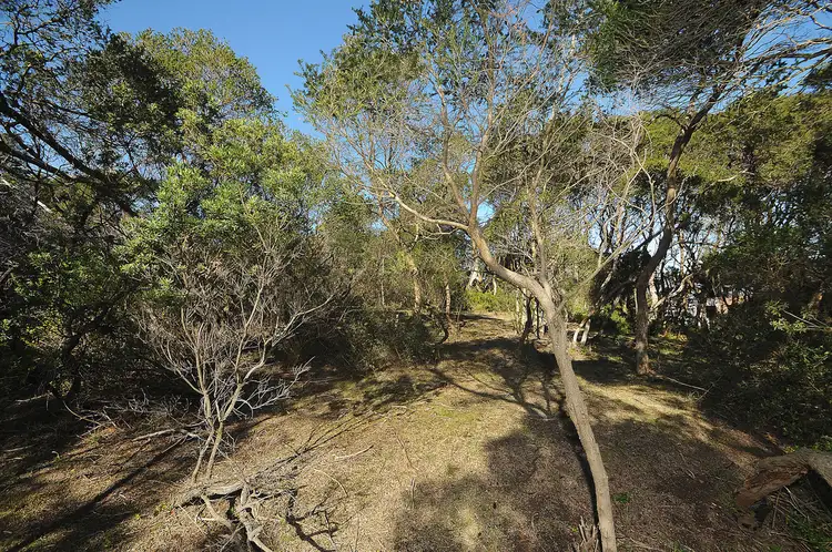 Third view of Homely land listing, 6 Sherwood Forest Drive, Rye VIC 3941