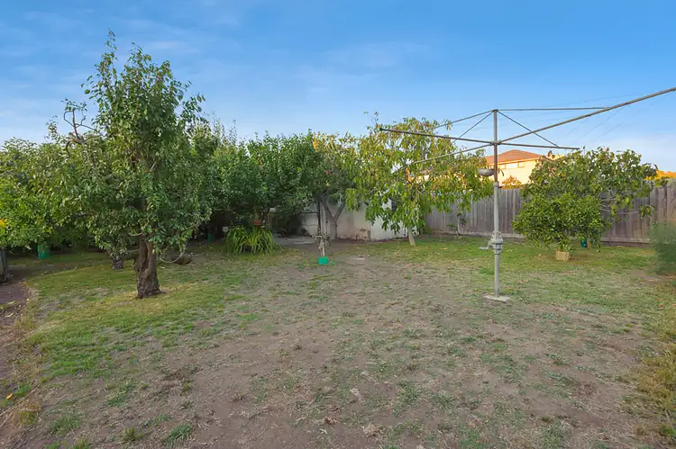 Sixth view of Homely house listing, 35 Beatty Street, Ivanhoe VIC 3079