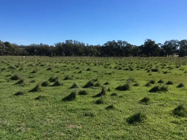 Fourth view of Homely rural property listing, 9211 Tumbarumba Road, Ladysmith NSW 2652