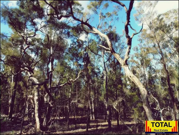 Sixth view of Homely rural property listing, LOT 55, 0 Ironbark Drive, Millmerran Woods QLD 4357