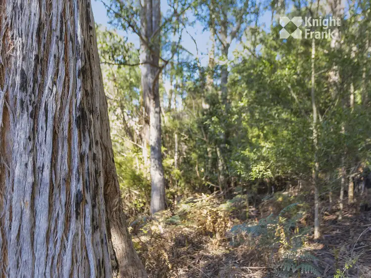Fifth view of Homely land listing, 12 Reids Road, Fern Tree TAS 7054