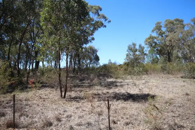 Second view of Homely land listing, 5 & 7 Gresham Street, Tarcutta NSW 2652