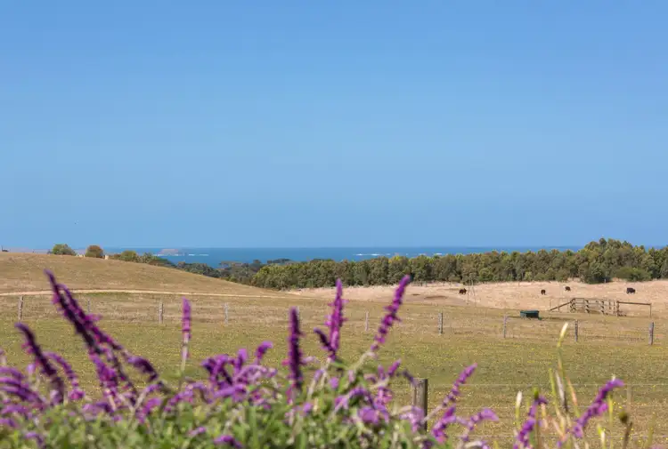 Fourth view of Homely house listing, 2249 Mornington-Flinders Road, Flinders VIC 3929