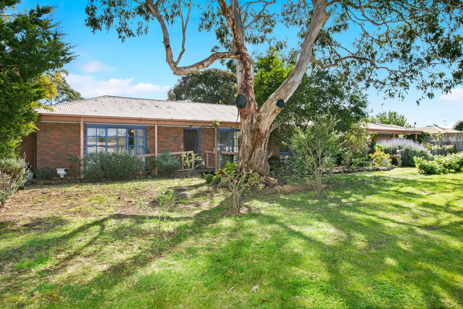 Main view of Homely house listing, 29 Eggleston Street, Ocean Grove VIC 3226