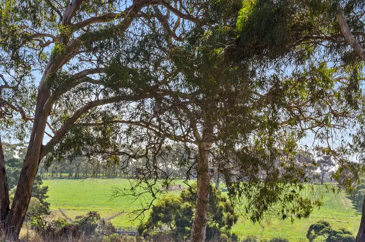 Fifth view of Homely land listing, Stage 5A - Yellow Gums Estate, Ocean Grove VIC 3226