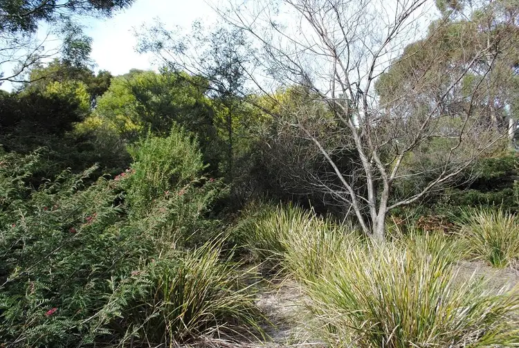 Third view of Homely land listing, 4 Hazards View Drive, Coles Bay TAS 7215